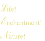 Life!
Enchantment!
Nature!
